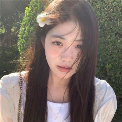 候鸟之爱