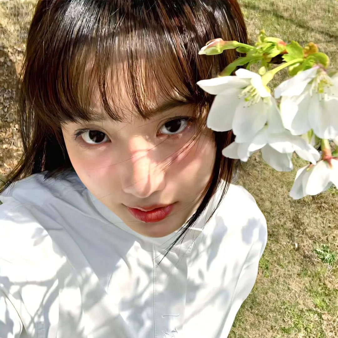 杏运